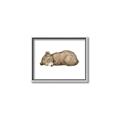 Picture of Baby grizzly bear I _GroupedProduct_Rectangle_Landscape_Mini_ _GroupedProduct_Rectangle_Landscape_Canvas_Framed_