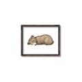Picture of Baby grizzly bear I _GroupedProduct_Rectangle_Landscape_Mini_ _GroupedProduct_Rectangle_Landscape_Canvas_Framed_