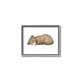 Picture of Baby grizzly bear I _GroupedProduct_Rectangle_Landscape_Mini_ _GroupedProduct_Rectangle_Landscape_Canvas_Framed_