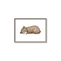 Picture of Baby grizzly bear I _GroupedProduct_Rectangle_Landscape_Mini_ _GroupedProduct_Rectangle_Landscape_Canvas_Framed_