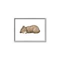 Picture of Baby grizzly bear I _GroupedProduct_Rectangle_Landscape_Mini_ _GroupedProduct_Rectangle_Landscape_Canvas_Framed_