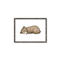 Picture of Baby grizzly bear I _GroupedProduct_Rectangle_Landscape_Mini_ _GroupedProduct_Rectangle_Landscape_Canvas_Framed_