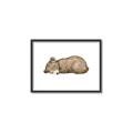 Picture of Baby grizzly bear I _GroupedProduct_Rectangle_Landscape_Mini_ _GroupedProduct_Rectangle_Landscape_Canvas_Framed_