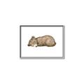 Picture of Baby grizzly bear I _GroupedProduct_Rectangle_Landscape_Mini_ _GroupedProduct_Rectangle_Landscape_Canvas_Framed_