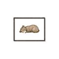 Picture of Baby grizzly bear I _GroupedProduct_Rectangle_Landscape_Mini_ _GroupedProduct_Rectangle_Landscape_Canvas_Framed_
