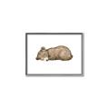 Picture of Baby grizzly bear I _GroupedProduct_Rectangle_Landscape_Mini_ _GroupedProduct_Rectangle_Landscape_Canvas_Framed_