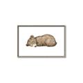 Picture of Baby grizzly bear I _GroupedProduct_Rectangle_Landscape_Mini_ _GroupedProduct_Rectangle_Landscape_Canvas_Framed_