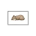 Picture of Baby grizzly bear I _GroupedProduct_Rectangle_Landscape_Mini_ _GroupedProduct_Rectangle_Landscape_Canvas_Framed_