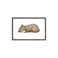 Picture of Baby grizzly bear I _GroupedProduct_Rectangle_Landscape_Mini_ _GroupedProduct_Rectangle_Landscape_Canvas_Framed_