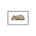 Picture of Baby grizzly bear I _GroupedProduct_Rectangle_Landscape_Mini_ _GroupedProduct_Rectangle_Landscape_Canvas_Framed_