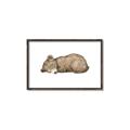 Picture of Baby grizzly bear I _GroupedProduct_Rectangle_Landscape_Mini_ _GroupedProduct_Rectangle_Landscape_Canvas_Framed_