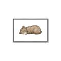 Picture of Baby grizzly bear I _GroupedProduct_Rectangle_Landscape_Mini_ _GroupedProduct_Rectangle_Landscape_Canvas_Framed_