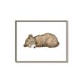 Picture of Baby grizzly bear I _GroupedProduct_Rectangle_Landscape_Mini_ _GroupedProduct_Rectangle_Landscape_Canvas_Framed_
