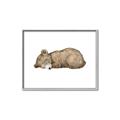 Picture of Baby grizzly bear I _GroupedProduct_Rectangle_Landscape_Mini_ _GroupedProduct_Rectangle_Landscape_Canvas_Framed_