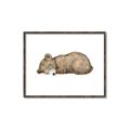Picture of Baby grizzly bear I _GroupedProduct_Rectangle_Landscape_Mini_ _GroupedProduct_Rectangle_Landscape_Canvas_Framed_