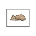 Picture of Baby grizzly bear I _GroupedProduct_Rectangle_Landscape_Mini_ _GroupedProduct_Rectangle_Landscape_Canvas_Framed_