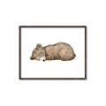 Picture of Baby grizzly bear I _GroupedProduct_Rectangle_Landscape_Mini_ _GroupedProduct_Rectangle_Landscape_Canvas_Framed_