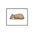 Picture of Baby grizzly bear I _GroupedProduct_Rectangle_Landscape_Mini_ _GroupedProduct_Rectangle_Landscape_Canvas_Framed_