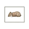 Picture of Baby grizzly bear I _GroupedProduct_Rectangle_Landscape_Mini_ _GroupedProduct_Rectangle_Landscape_Canvas_Framed_