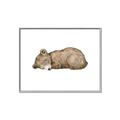 Picture of Baby grizzly bear I _GroupedProduct_Rectangle_Landscape_Mini_ _GroupedProduct_Rectangle_Landscape_Canvas_Framed_