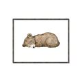 Picture of Baby grizzly bear I _GroupedProduct_Rectangle_Landscape_Mini_ _GroupedProduct_Rectangle_Landscape_Canvas_Framed_