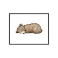 Picture of Baby grizzly bear I _GroupedProduct_Rectangle_Landscape_Mini_ _GroupedProduct_Rectangle_Landscape_Canvas_Framed_