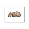 Picture of Baby grizzly bear I _GroupedProduct_Rectangle_Landscape_Mini_ _GroupedProduct_Rectangle_Landscape_Canvas_Framed_