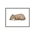 Picture of Baby grizzly bear I _GroupedProduct_Rectangle_Landscape_Mini_ _GroupedProduct_Rectangle_Landscape_Canvas_Framed_