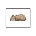 Picture of Baby grizzly bear I _GroupedProduct_Rectangle_Landscape_Mini_ _GroupedProduct_Rectangle_Landscape_Canvas_Framed_