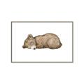 Picture of Baby grizzly bear I _GroupedProduct_Rectangle_Landscape_Mini_ _GroupedProduct_Rectangle_Landscape_Canvas_Framed_