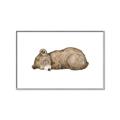 Picture of Baby grizzly bear I _GroupedProduct_Rectangle_Landscape_Mini_ _GroupedProduct_Rectangle_Landscape_Canvas_Framed_