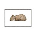 Picture of Baby grizzly bear I _GroupedProduct_Rectangle_Landscape_Mini_ _GroupedProduct_Rectangle_Landscape_Canvas_Framed_