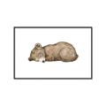Picture of Baby grizzly bear I _GroupedProduct_Rectangle_Landscape_Mini_ _GroupedProduct_Rectangle_Landscape_Canvas_Framed_