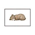 Picture of Baby grizzly bear I _GroupedProduct_Rectangle_Landscape_Mini_ _GroupedProduct_Rectangle_Landscape_Canvas_Framed_