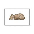 Picture of Baby grizzly bear I _GroupedProduct_Rectangle_Landscape_Mini_ _GroupedProduct_Rectangle_Landscape_Canvas_Framed_