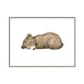Picture of Baby grizzly bear I _GroupedProduct_Rectangle_Landscape_Mini_ _GroupedProduct_Rectangle_Landscape_Canvas_Framed_