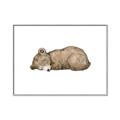 Picture of Baby grizzly bear I _GroupedProduct_Rectangle_Landscape_Mini_ _GroupedProduct_Rectangle_Landscape_Canvas_Framed_