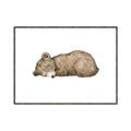 Picture of Baby grizzly bear I _GroupedProduct_Rectangle_Landscape_Mini_ _GroupedProduct_Rectangle_Landscape_Canvas_Framed_