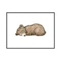 Picture of Baby grizzly bear I _GroupedProduct_Rectangle_Landscape_Mini_ _GroupedProduct_Rectangle_Landscape_Canvas_Framed_