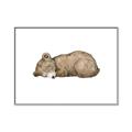 Picture of Baby grizzly bear I _GroupedProduct_Rectangle_Landscape_Mini_ _GroupedProduct_Rectangle_Landscape_Canvas_Framed_