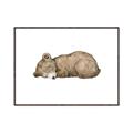 Picture of Baby grizzly bear I _GroupedProduct_Rectangle_Landscape_Mini_ _GroupedProduct_Rectangle_Landscape_Canvas_Framed_
