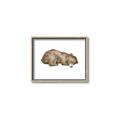 Picture of Baby grizzly bear II _GroupedProduct_Rectangle_Landscape_Mini_ _GroupedProduct_Rectangle_Landscape_Canvas_Framed_