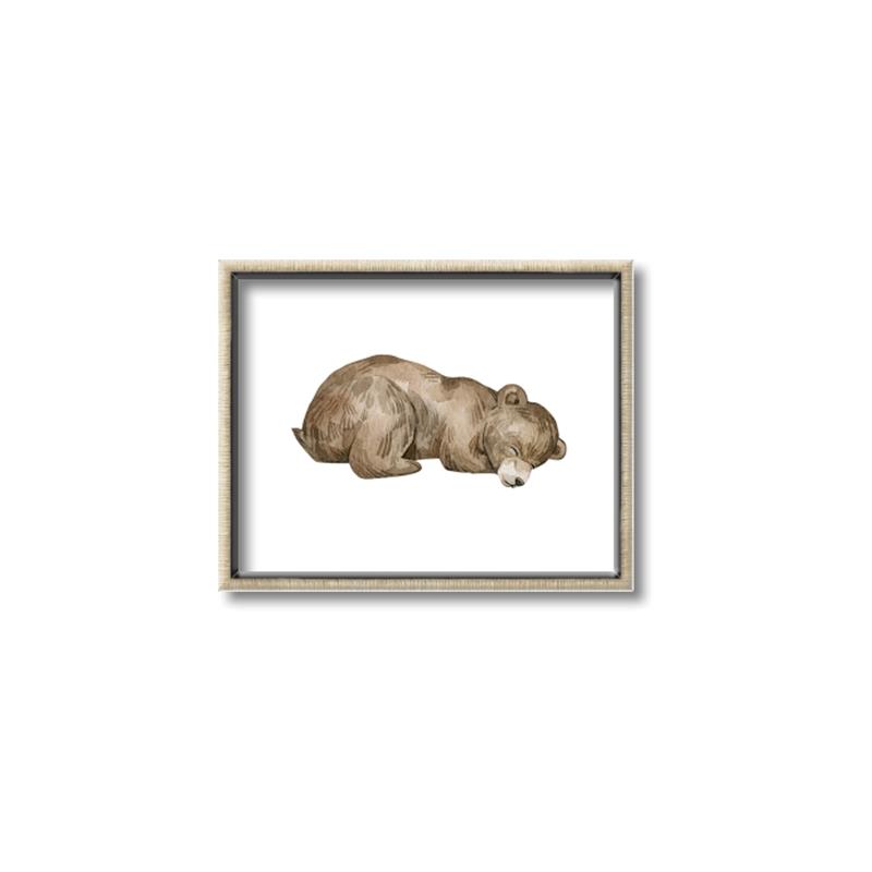 Picture of Baby grizzly bear II _GroupedProduct_Rectangle_Landscape_Mini_ _GroupedProduct_Rectangle_Landscape_Canvas_Framed_
