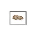 Picture of Baby grizzly bear II _GroupedProduct_Rectangle_Landscape_Mini_ _GroupedProduct_Rectangle_Landscape_Canvas_Framed_