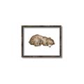 Picture of Baby grizzly bear II _GroupedProduct_Rectangle_Landscape_Mini_ _GroupedProduct_Rectangle_Landscape_Canvas_Framed_
