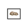 Picture of Baby grizzly bear II _GroupedProduct_Rectangle_Landscape_Mini_ _GroupedProduct_Rectangle_Landscape_Canvas_Framed_