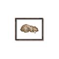Picture of Baby grizzly bear II _GroupedProduct_Rectangle_Landscape_Mini_ _GroupedProduct_Rectangle_Landscape_Canvas_Framed_