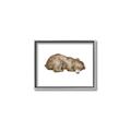 Picture of Baby grizzly bear II _GroupedProduct_Rectangle_Landscape_Mini_ _GroupedProduct_Rectangle_Landscape_Canvas_Framed_