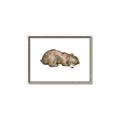 Picture of Baby grizzly bear II _GroupedProduct_Rectangle_Landscape_Mini_ _GroupedProduct_Rectangle_Landscape_Canvas_Framed_