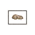 Picture of Baby grizzly bear II _GroupedProduct_Rectangle_Landscape_Mini_ _GroupedProduct_Rectangle_Landscape_Canvas_Framed_